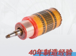 內(nèi)蒙古ZQ-1.9輔助直流牽引電機(jī)電樞（250V，550V）